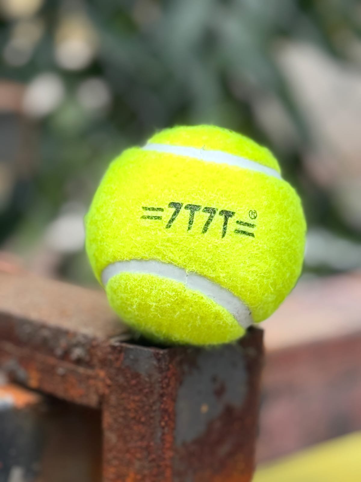 BALL 7T7T HARD TENNIS BALL